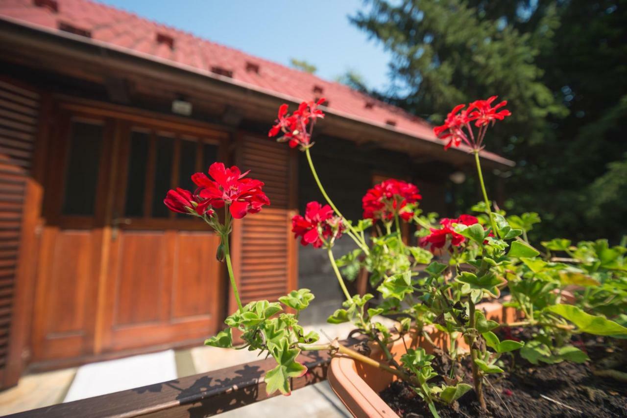 Cabin In The Woods Vukelic Stubicke Toplice Экстерьер фото
